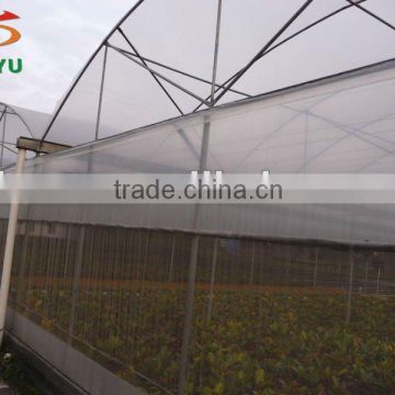 Tunnel greenhouse project for vegetable