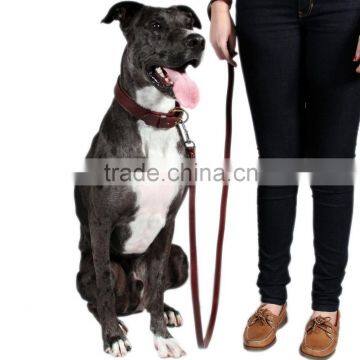 high quality custom print logo dog leash