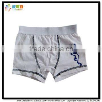 BKD Boy Underwear Kids Underwear