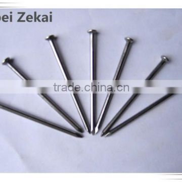 6" stainless steel nails/iron round common wire nails for building