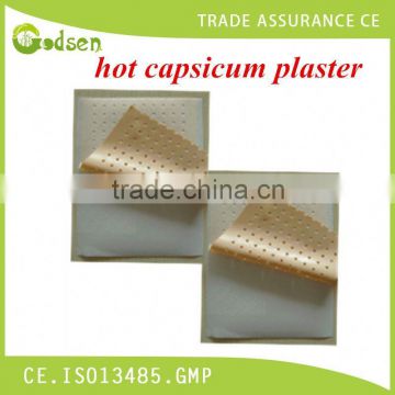 China Unique and New Products of Waterproof Pain Relief Patch/Plaster