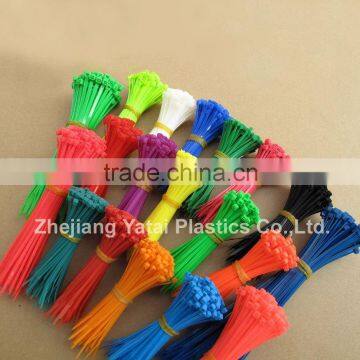 Colorful Cable Tie (CE,ROHS,PAHS,REACH,SGS)