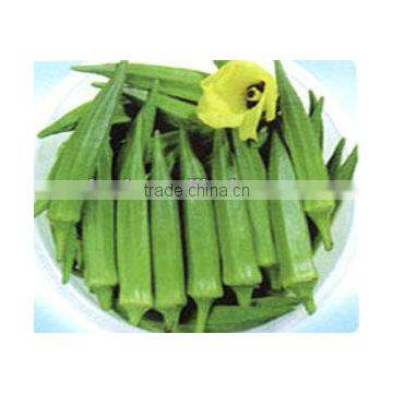 New fresh Frozen Okra