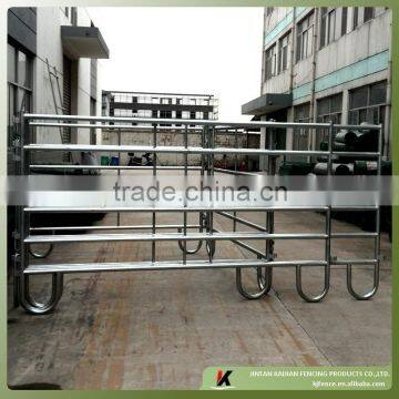 Galvanized pipe rail fencing