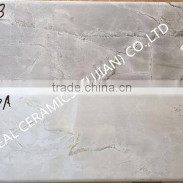 Fuzhou manufacturer 200X600MM ceramic wall digital tiles