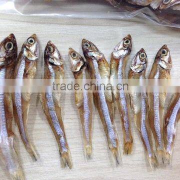 VERY DRY SPRATS/ANCHOVY SILVER LINE EXPORT TO COLOMBO (Email: katherine.vilaconic@gmail.com , Viber, Whatsapp: +841687264621)