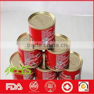 Wholesale Canned Tomato Paste/tomato Ketchup photo-6