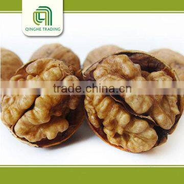 dried fruit nuts walnuts wholesales, walnut price