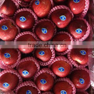 Chinese fresh new crop red delicious apple red apple huaniu apple apple price fresh apple fruit