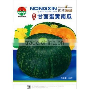 Chinese Hybrid pumpkin Seeds For Growing-Floury Yolk