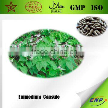 Qingdao BNP Sells High Quality Epimedium Extract Capsule