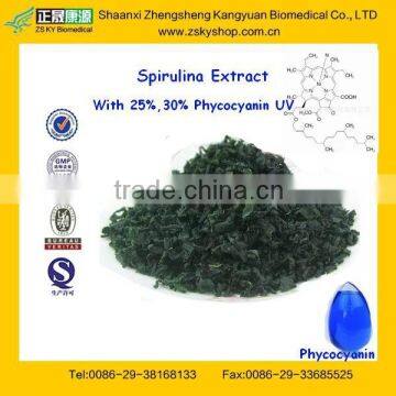 Top Quality Phycocyanin Spirulina for Natural Pigment