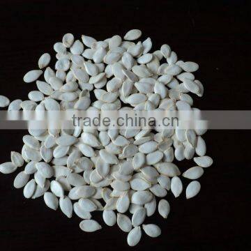 Chinese inshell pumpkin seeds