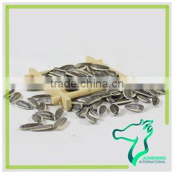 Roasted Iran Sunflower Seeds photo-2