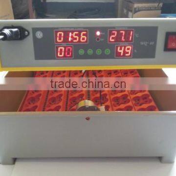 big workshop eggs hatcher machine best selling