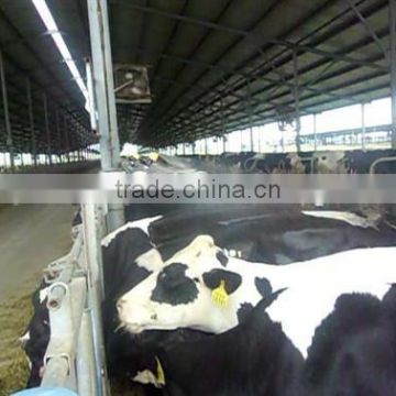 cow house high-temperature exhaust fan