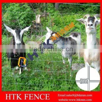 High Tensile 6ft Sheep Wire Mesh Fence (Hot Sale) photo-5