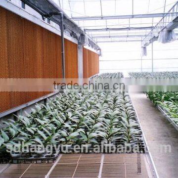 Evaporative Cooling Pad Used for Greenhouse photo-5