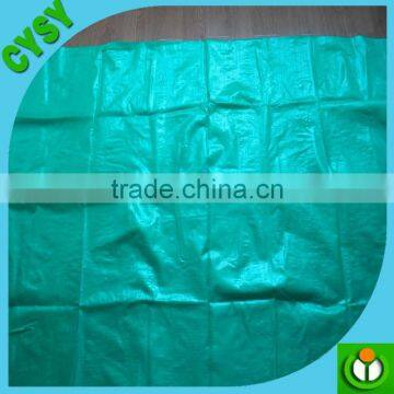 90gsm-140gsm Black/green PP Ground Cover,weed Barrier Fabrics, Weed Mat in Strawberry Garden photo-2