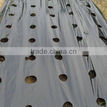 plastic black film with free holes