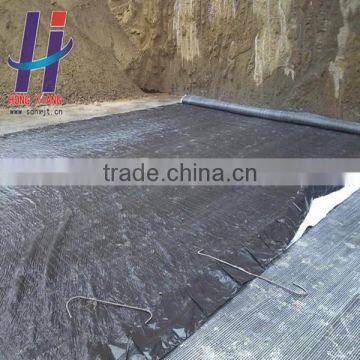 Green Roof Waterproofing, Roofing Artificial Pond Seepage Bentonite Geosynthetic Clay Liner photo-2