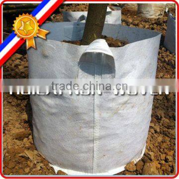 garden pots and planters