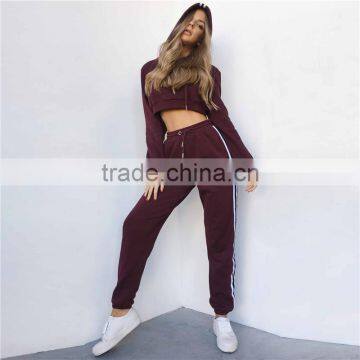 Latest Fashion Clothing Streetwear Sportswear Plain Hoodies Long Pants 2 Piece Set Tracksuit photo-5