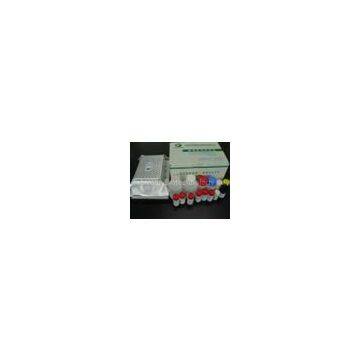 β-lactamase rapid test strip