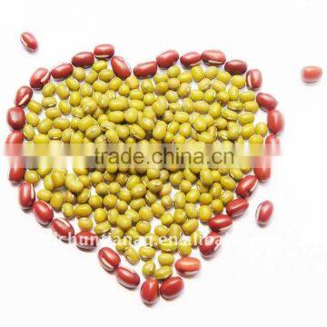 Organic Chinese Mung Beans
