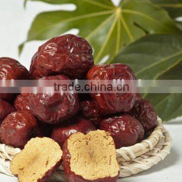 Jujube cheap price promotion