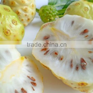 High Quality Organic Noni Powder At Your Door Step