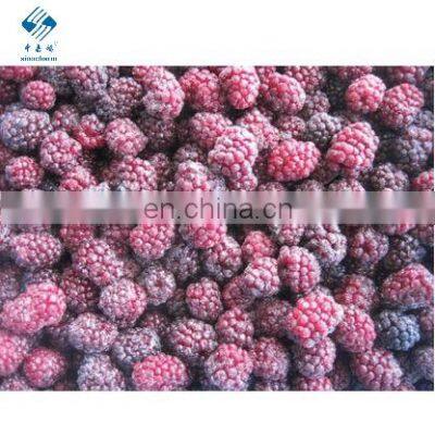 Wholesale IQF Berries/ Raspberry/ Blueberry/