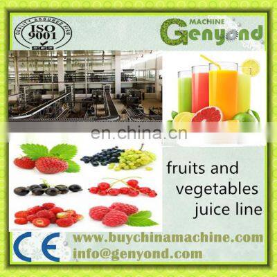 Complete Fruit Juice Processing Line, Hot Drink Production Line, Juice Filling Machine photo-2