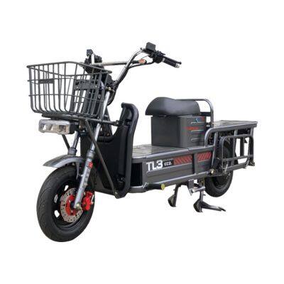 Heavy Load Cargo E-Bike Electric Bicycle 2 Wheeler With Large Rear Seat and Rack Cheap Means of Transport