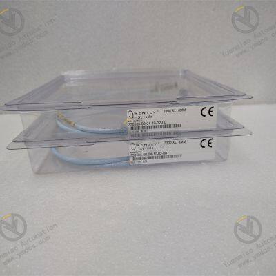 Bently 330103-00-12-10-02-CN N?herungswandlersysteme