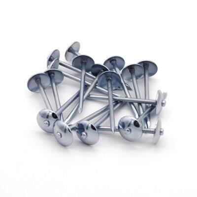 Umbrella Head Roofing Nails From China Nail Manufacturer
