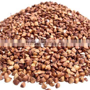 ROASTED BUCKWHEAT FOR SALE