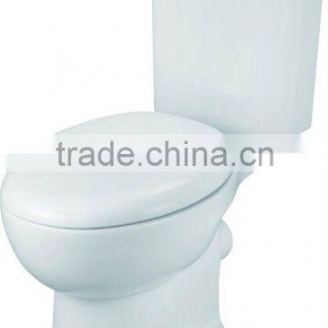 Washdown Two pieces p tray Toilet