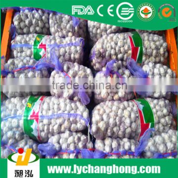 2016 new crop different size high quality fresh garlic