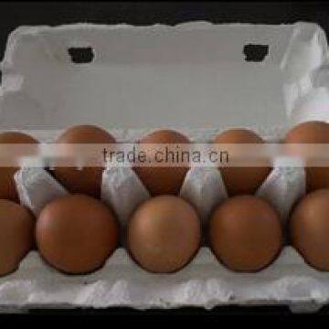 Pulp Moulding Process Type Size 10 Holes and Accept Custom Order egg trays