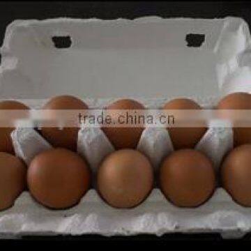 Pulp Moulding Process Type Size 10 Holes and Accept Custom Order Egg Trays