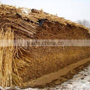 Home Use Small Gasifier Stove/continuous Gasifier Oven for Sale photo-4