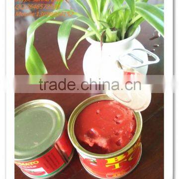 70g Canned Tomato Paste from tomato manufacturers