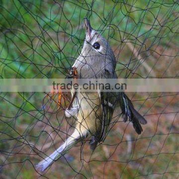 Nylon Mist bird netting