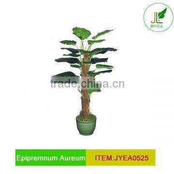 Artificial Epipremnum Aureum