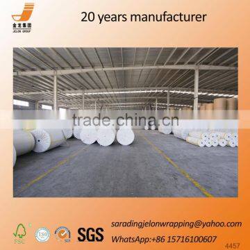 Factory Direct Sale Paper Plate Raw Material photo-1