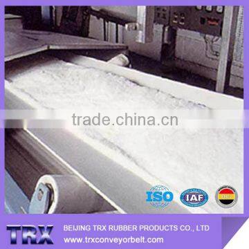 High Quality Cold Resistant Conveyor Belt for Cold Storage