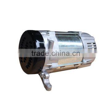 Permanent Magnet Neodymium Magnet Alternator for Gasoline Generator