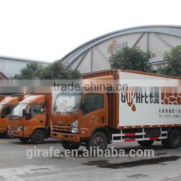 Girafe 982 Mastic Sealant Work Service Sunderland UK