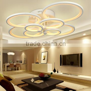 Hot Selling 100W Modern Ceiling Lights Stainless Steel 220V Simple Ceiling Lamps